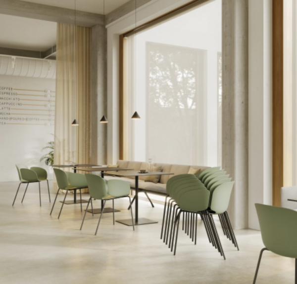 Nest - Imagen 4