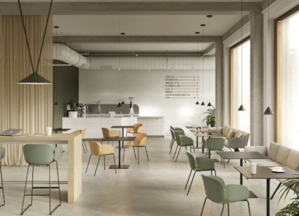 Nest - Imagen 5