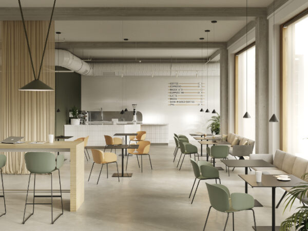 Nest - Imagen 5